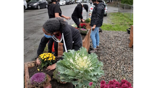 城市农场被种植在西雅图
