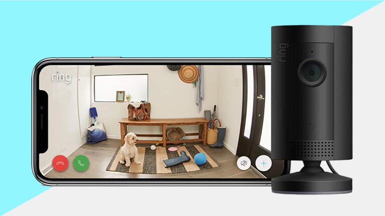 '一天2023人生活博客最佳交易:环摄像系统显示一个图像的狗坐在门厅。