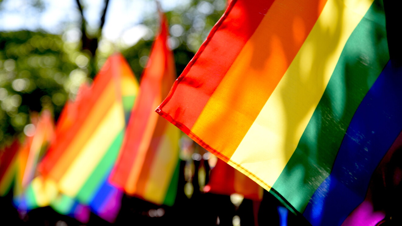 Pride flags in a light breeze