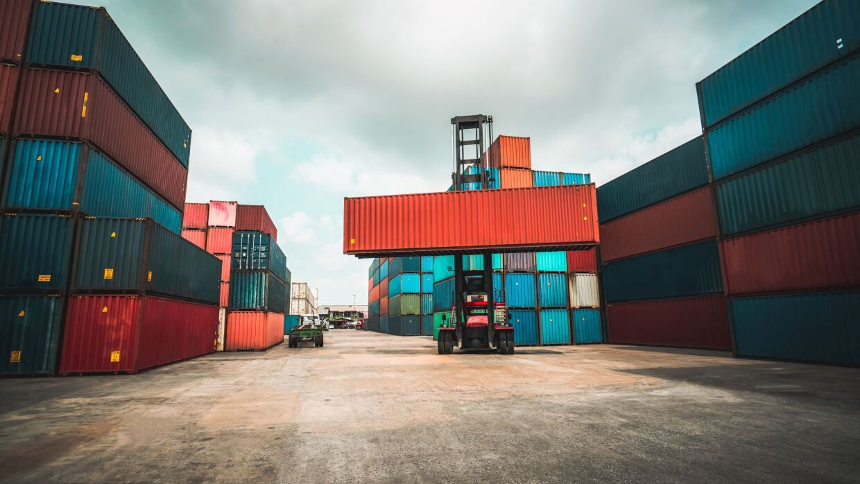 Una gru solleva un container in un porto. Intorno, pile di container colorati uno sull'altro.