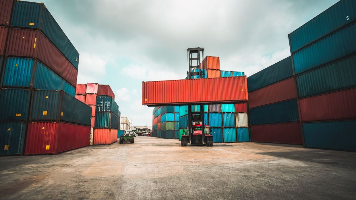 Una gru solleva un container in un porto. Intorno, pile di container colorati uno sull'altro. 