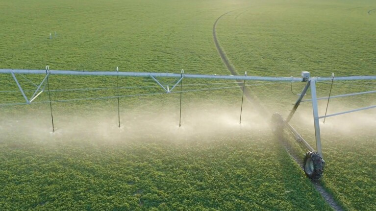 An image of a farming field being watered by a large sprinkler system.