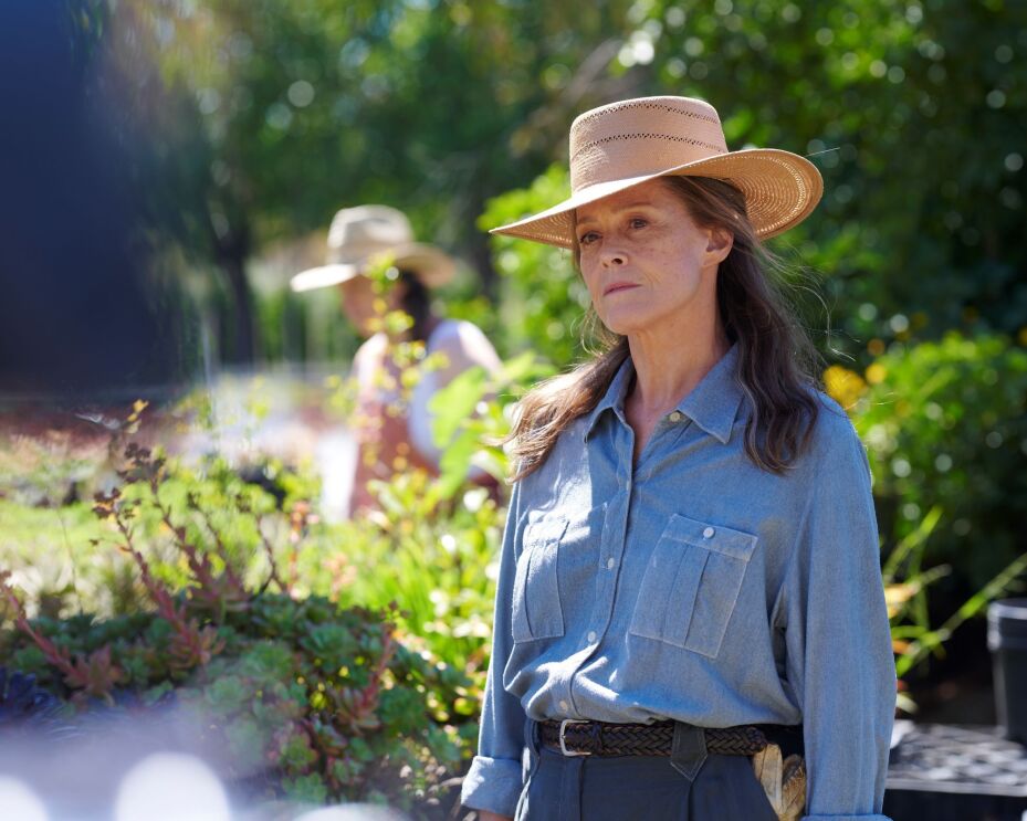 Best Lead Actress in a Drama, Sigourney Weaver, The Lost Flowers of Alice Hart