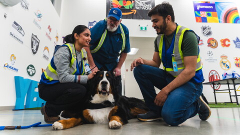 Amazon x DVV2 Therapy Dogs