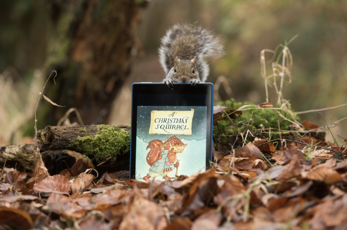 squirrel 1