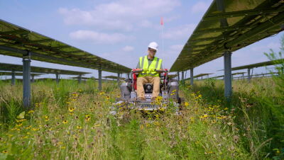 Yellowbud Solar Farm