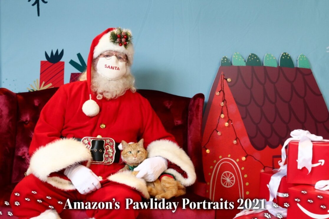 Santa holds Carrot the cat for a picture.