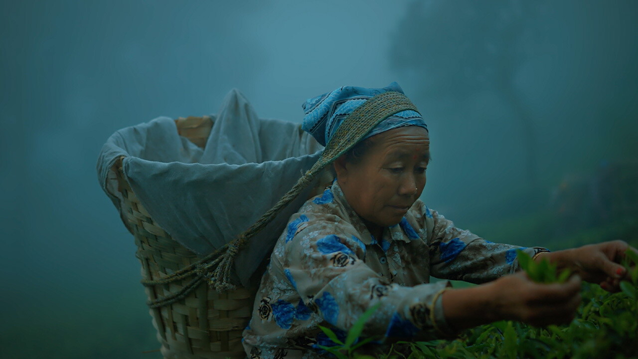 Luxmi Teas sells to the world with Amazon Global Selling