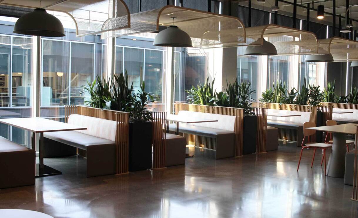 an image of a room with several dining booths and large windows and green plants