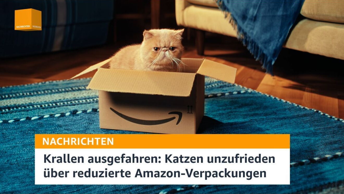 Man sieht im Standbild des Videos einen Amazon Karton, in dem eine Katze sitzt. Der Karton steht auf einem blau-gemusterten Teppich. Eingeblendet ist zu lesen: "Nachrichten - Krallen ausgefahren: Katzen unzufrieden über reduzierte Amazon-Verpackungen.