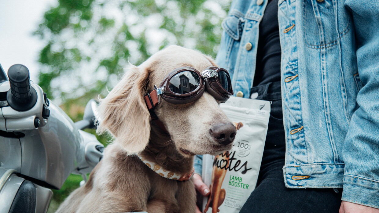 Product imagery of Meat Mates pet food with a customer 