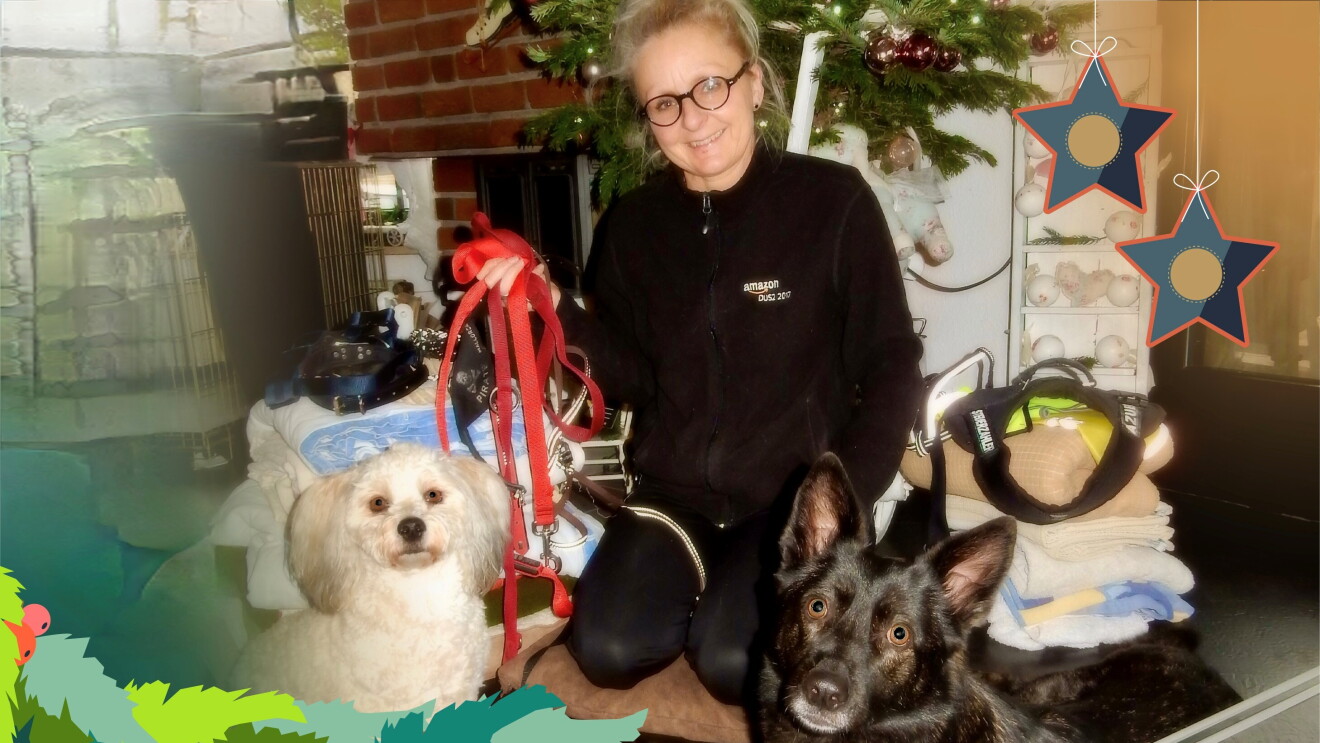 Susanne mit Hunden