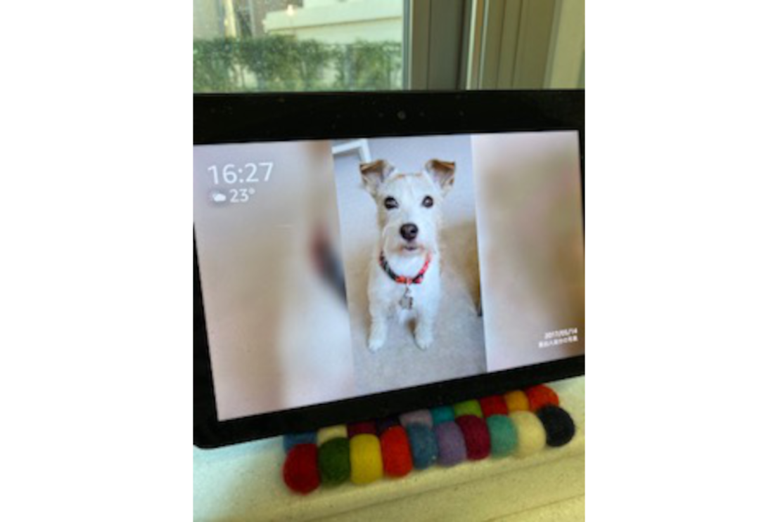 Amazon社員がおすすめする、Alexa（アレクサ）やAmazonデバイスを活用したペットとの暮らし