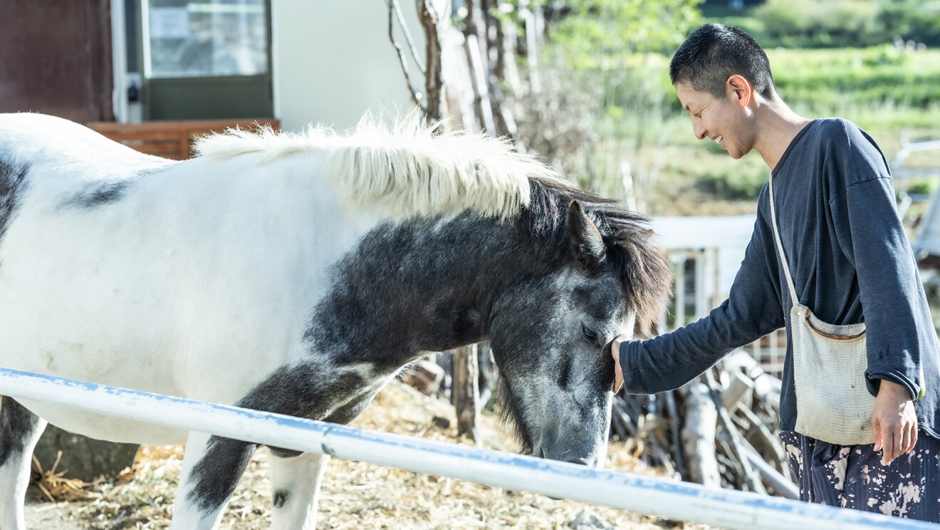 小型の馬の鼻をなでる女性(玉木さん)