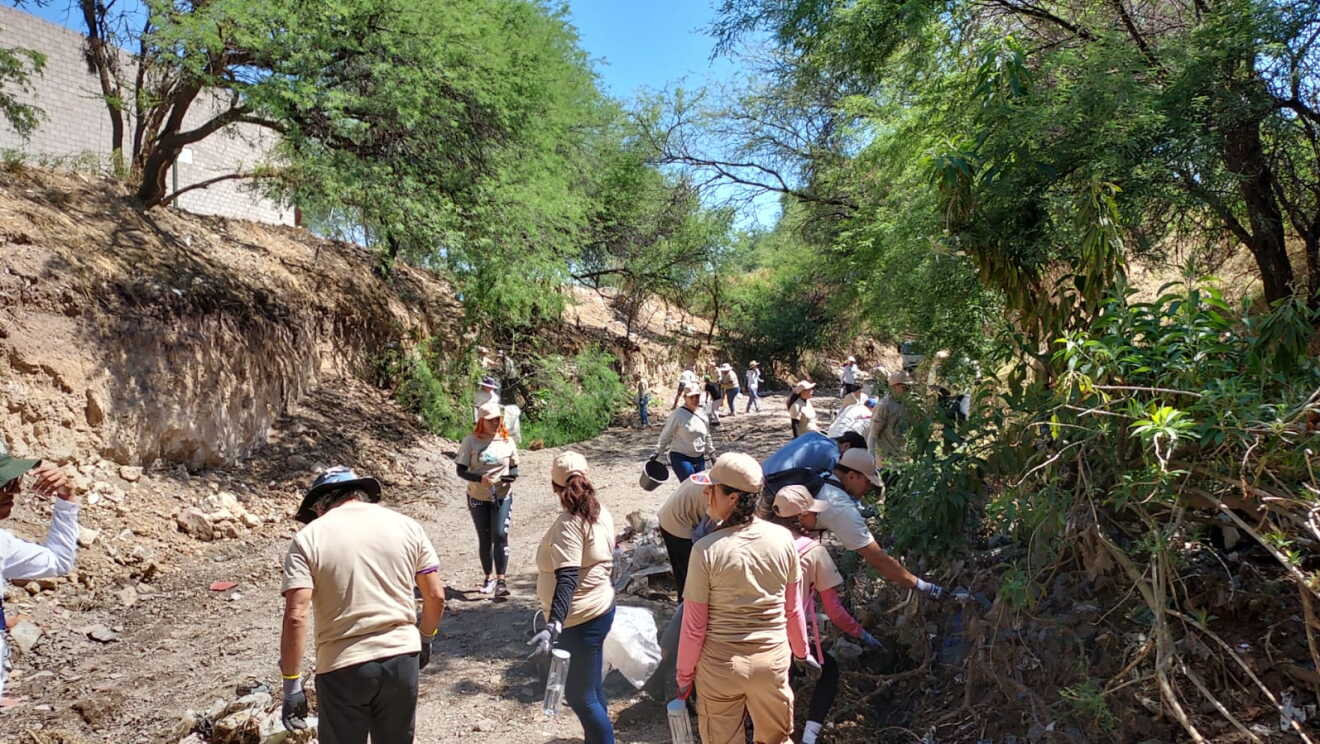 Voluntariado Mes de la Tierra 2026 México