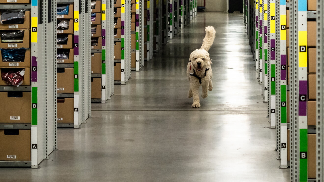 Rettungshund in FRA3