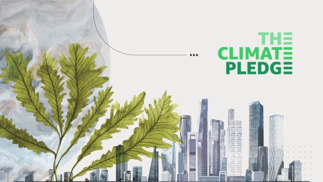 图片右边的背景是一座高楼林立的城市,上面用绿色字体标注了“气候承诺”。左边是从城市里长出来的绿色植物,和它的建筑物一样高。在植物的左边和后面是一幅灰色的地球图。