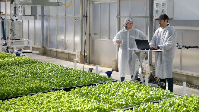 图为一名员工在河马收获温室工作。