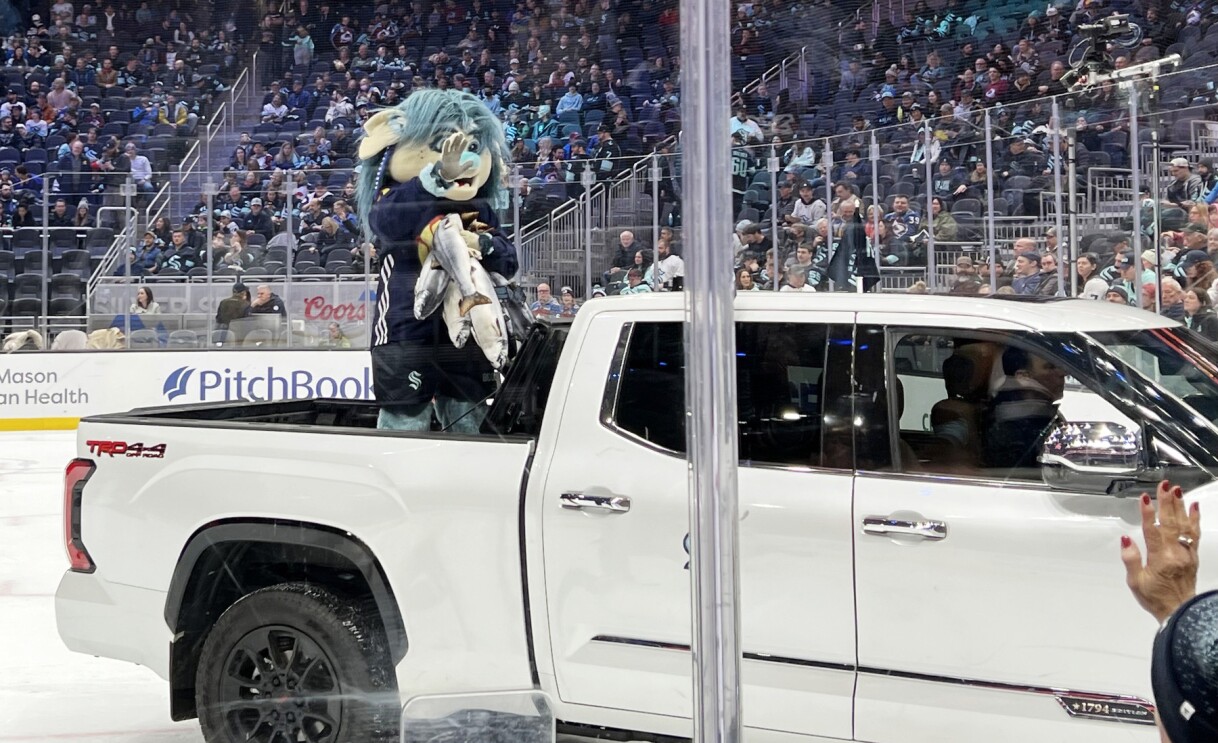 An image of the stadium feature described below