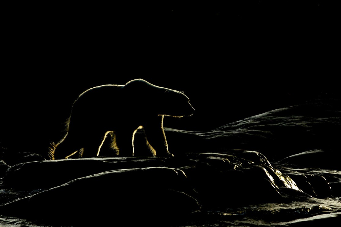 play of light 5