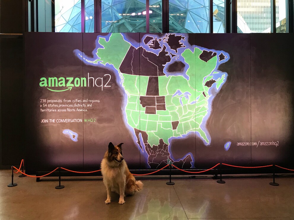 Dogs of Amazon - Bronx at map