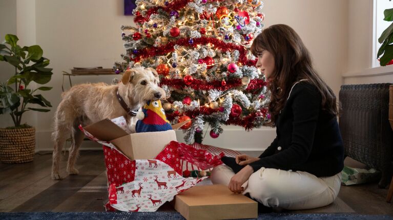 Dog and woman opening Christmas gifts in front of decorated tree