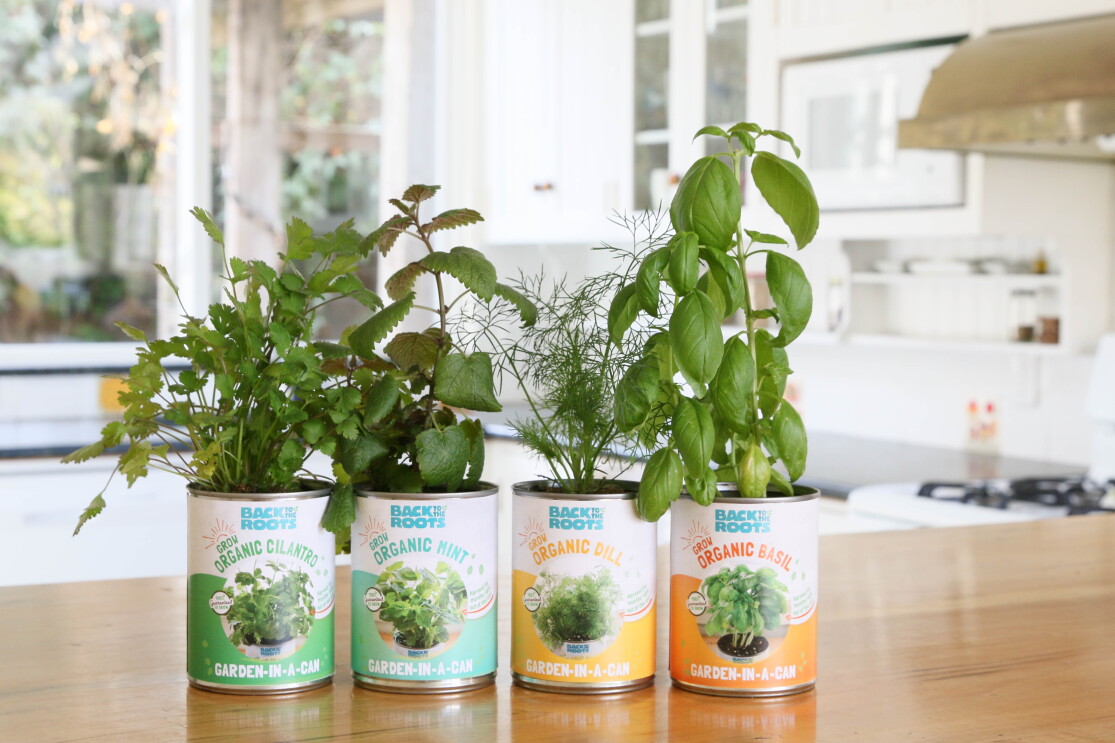 Sustainable small business on Amazon Launchpad