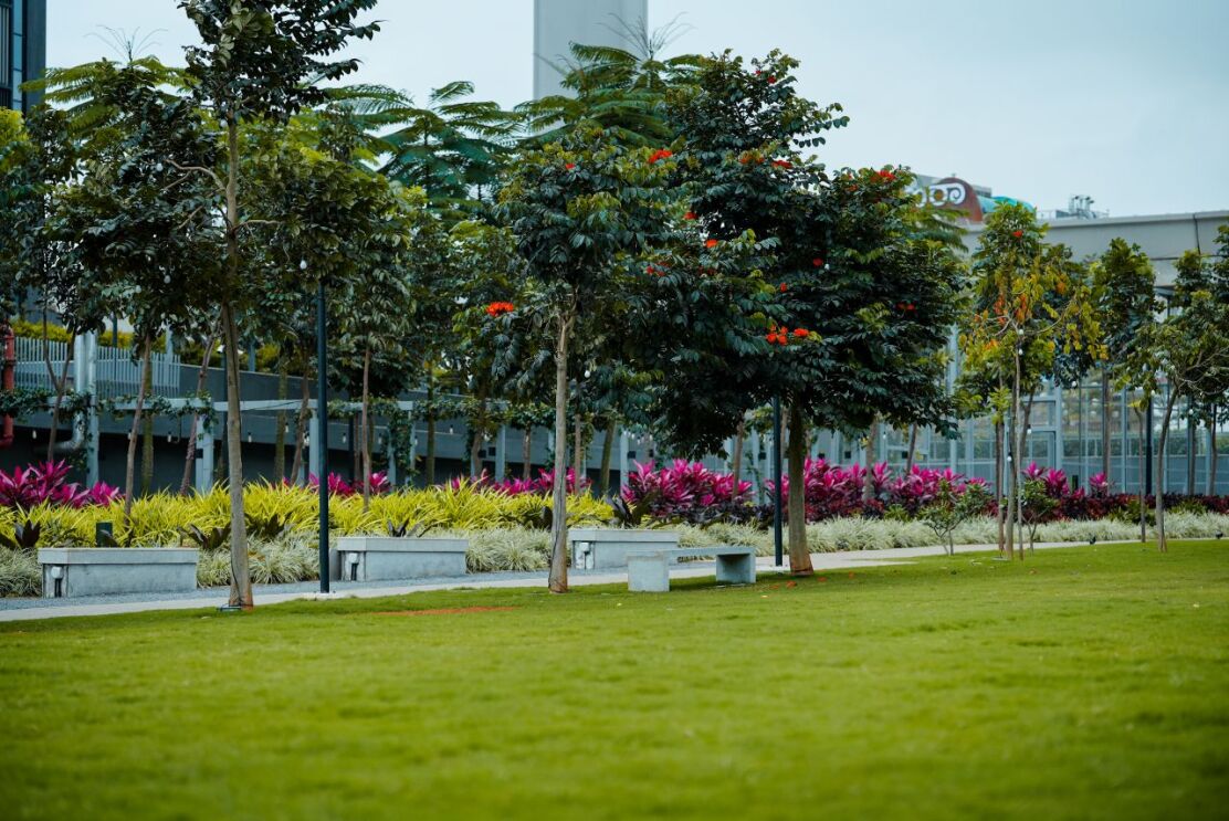 Amazon Bengaluru office - lawn