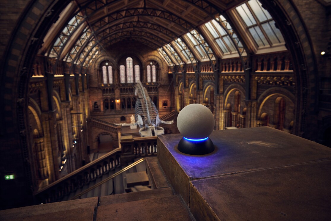 Amazon teams up with the Natural History Museum