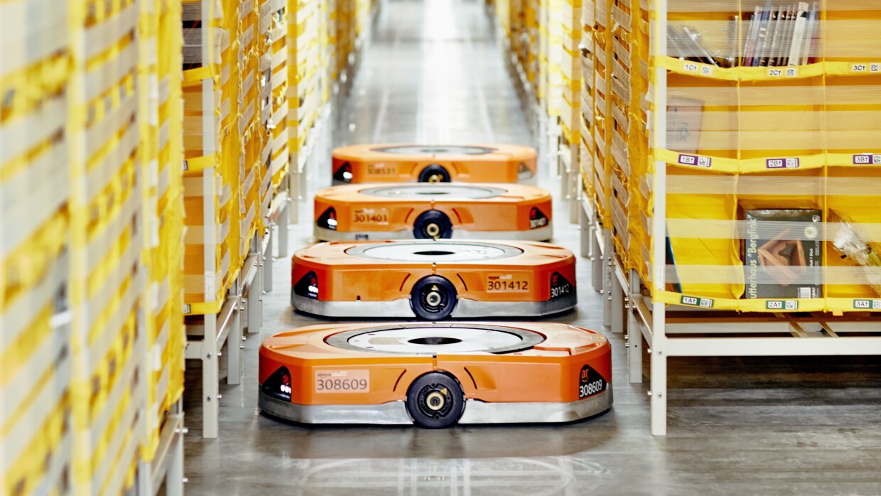 Amazon - Ko baskowo k. Szczecina.jpg