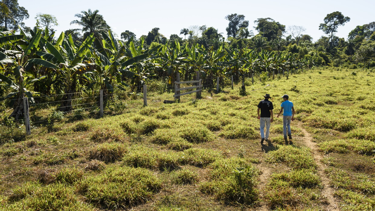 Pedro Rodrigeus De Oliveira and Matheus Correia Dutro walking to the forested area that the Nature Conservancy is working on with them to restore, Brazil.