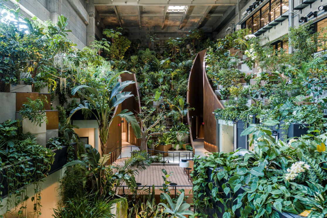 植物が生い茂る広い空間。植物のすき間から通路が見える。天井には小さな四角い窓