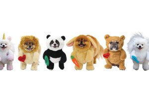 An image of dogs in a variety of Pandaloon costumes including a unicorn, a lion, a panda, a rabbit, and a teddy bear.