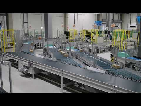 Amazon Single Lane Auto Divert to Finger