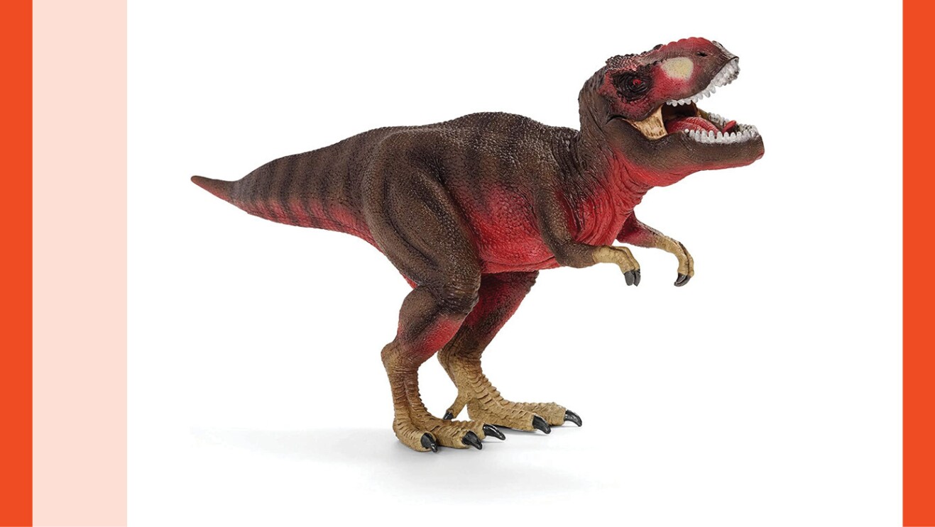 The product image for the toy listed below.