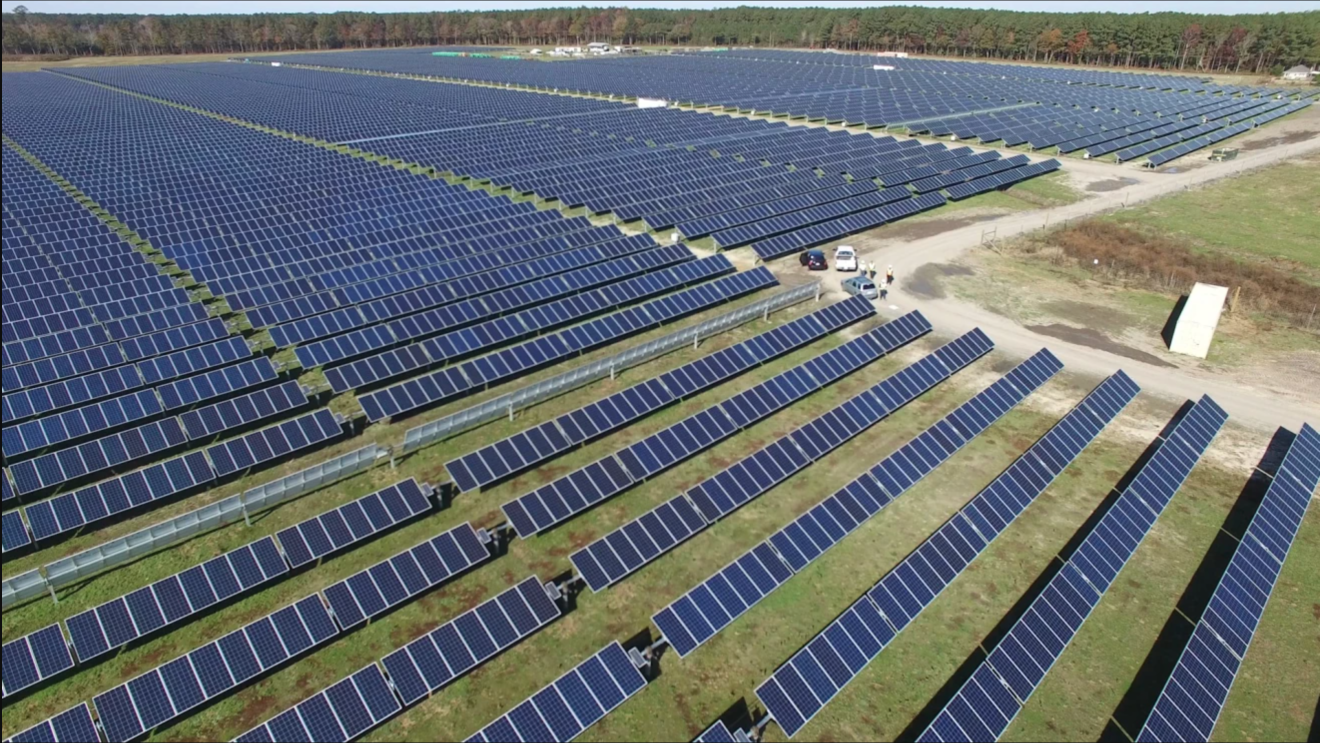 solar plant wide upper shot