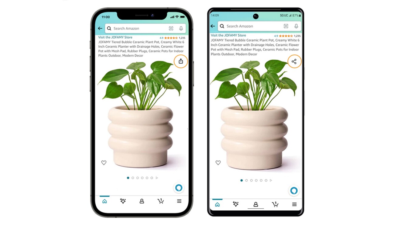 Image of a potted plant and the Share icon on the Amazon app.