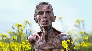 Cilian Murphy als Zombie in einem Blumenfeld