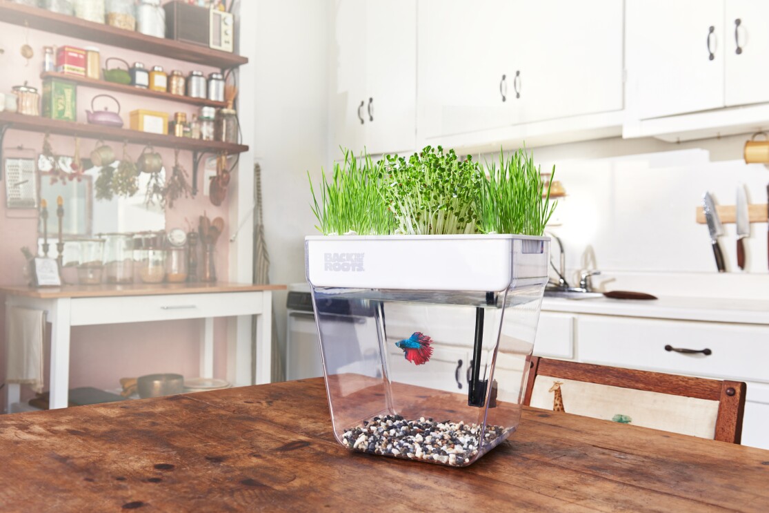 Sustainable small business on Amazon Launchpad