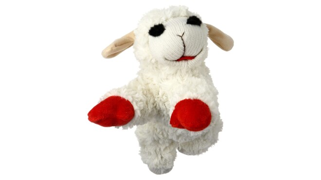 网红最爱的宠物护理产品的产品图片。