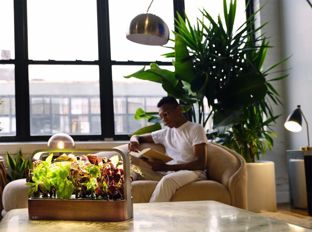 An image of a man reading a book while sitting on his couch. In front of him is a table with a lit-up planter sitting atop the table.