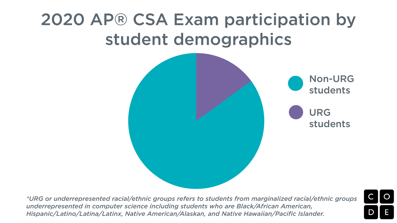 一个饼状图显示了CSA考试参与者的人口统计数据。