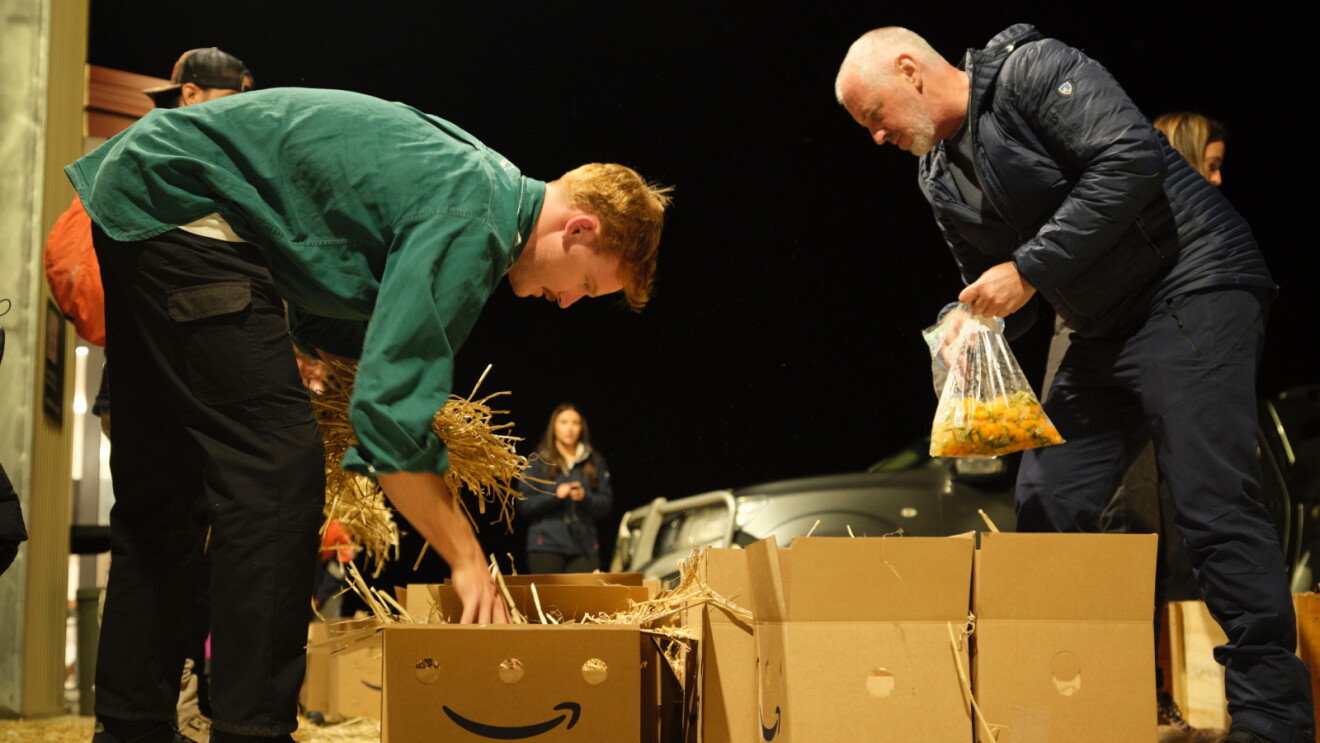 Two people unpacking Amazon boxes filled with straw packing material
