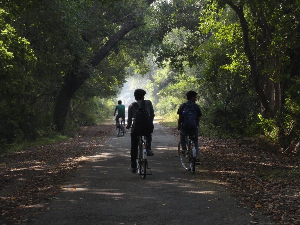 three people cycling in a forest like location