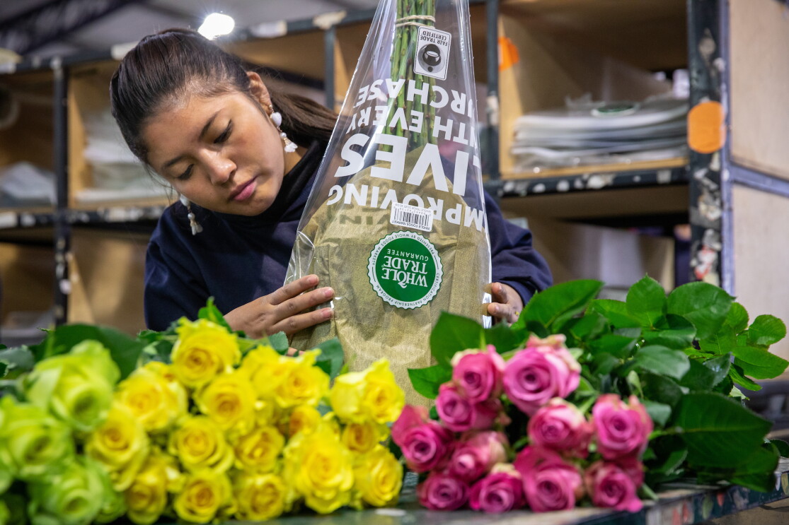 Whole Foods Market Whole Trade certified roses and the farmers who grow them.