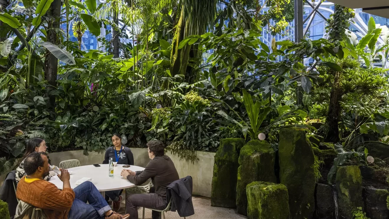 2人の男性と2人の女性が丸いテーブルで話している、周りには森やカビの生えた岩。