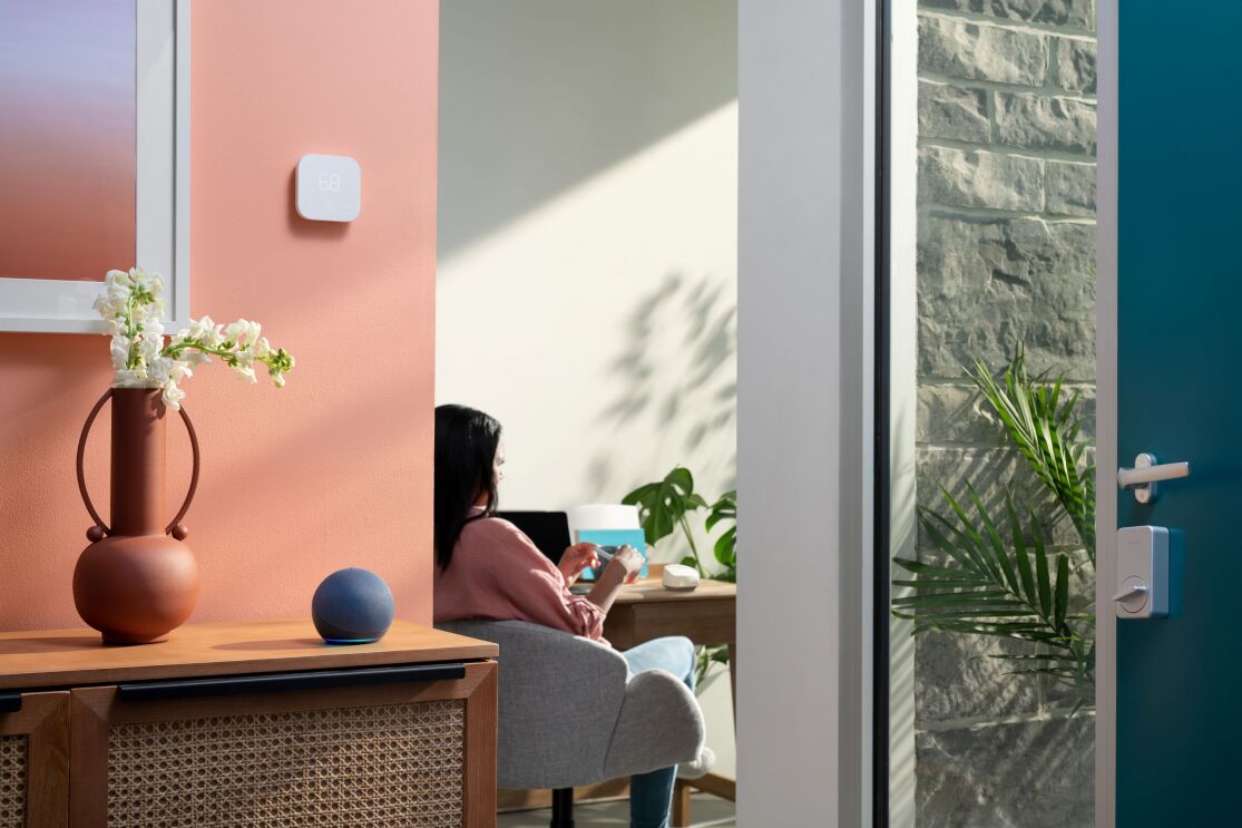 外からドアの間に女性がソファに座って後ろから見られている。その部屋の外にはオレンジ色の壁に白いデバイスが貼られている。そのオレンジ色の壁の前には木材で作られたテーブルの上にEchoと花瓶の花が置かれている。