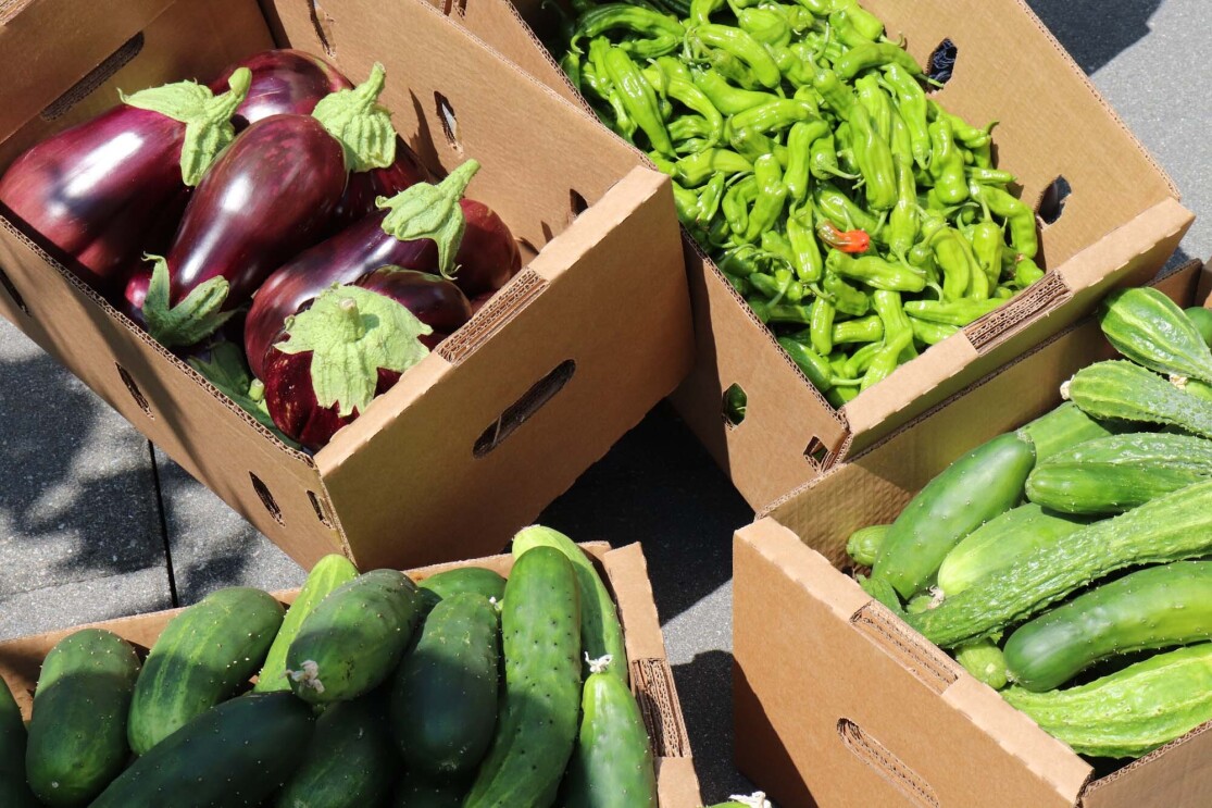 Amazon's rooftop organic vegetable garden, providing the harvest to FareStart restaurant
