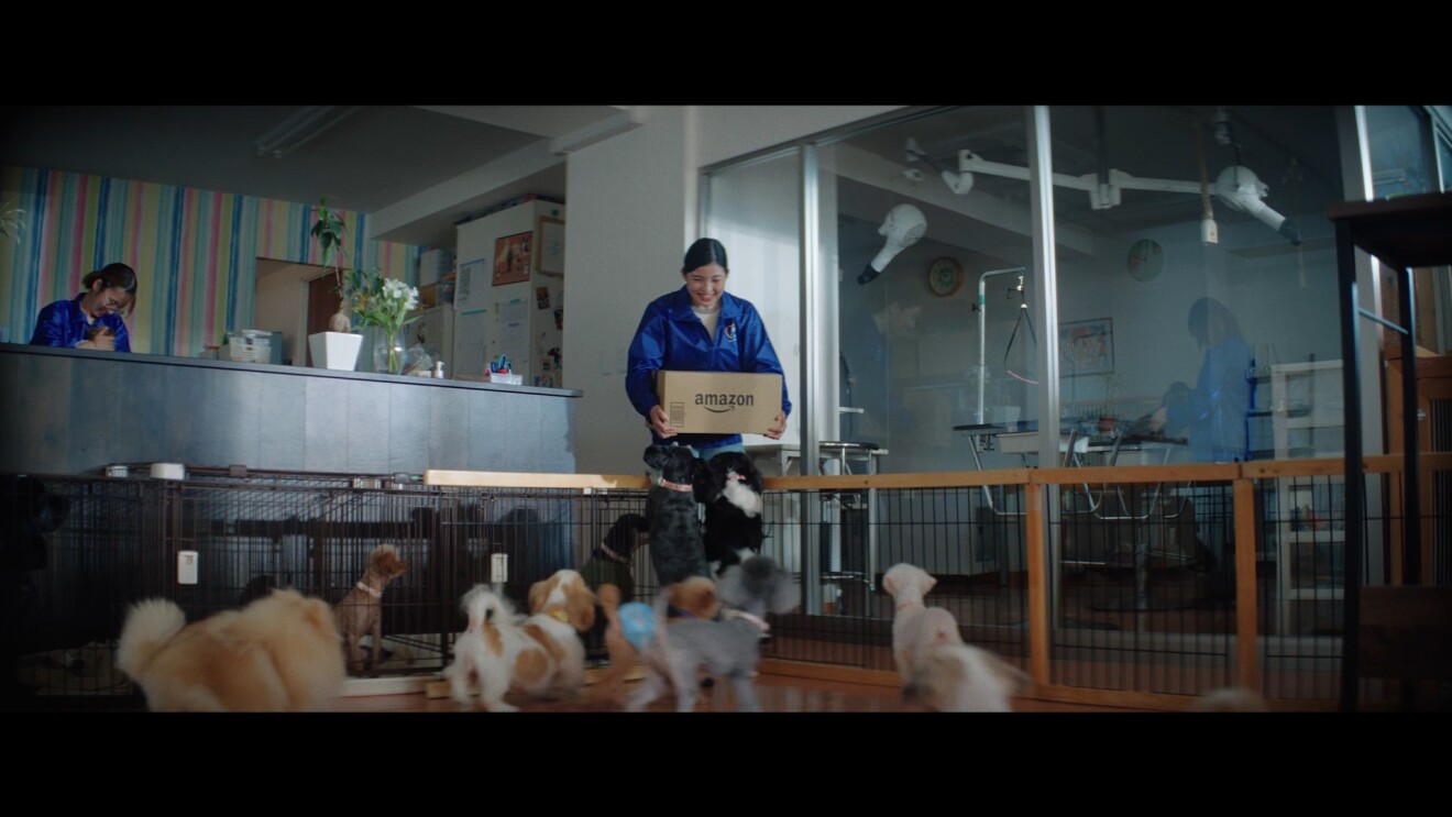 Amazon 保護犬・保護猫 支援プログラム