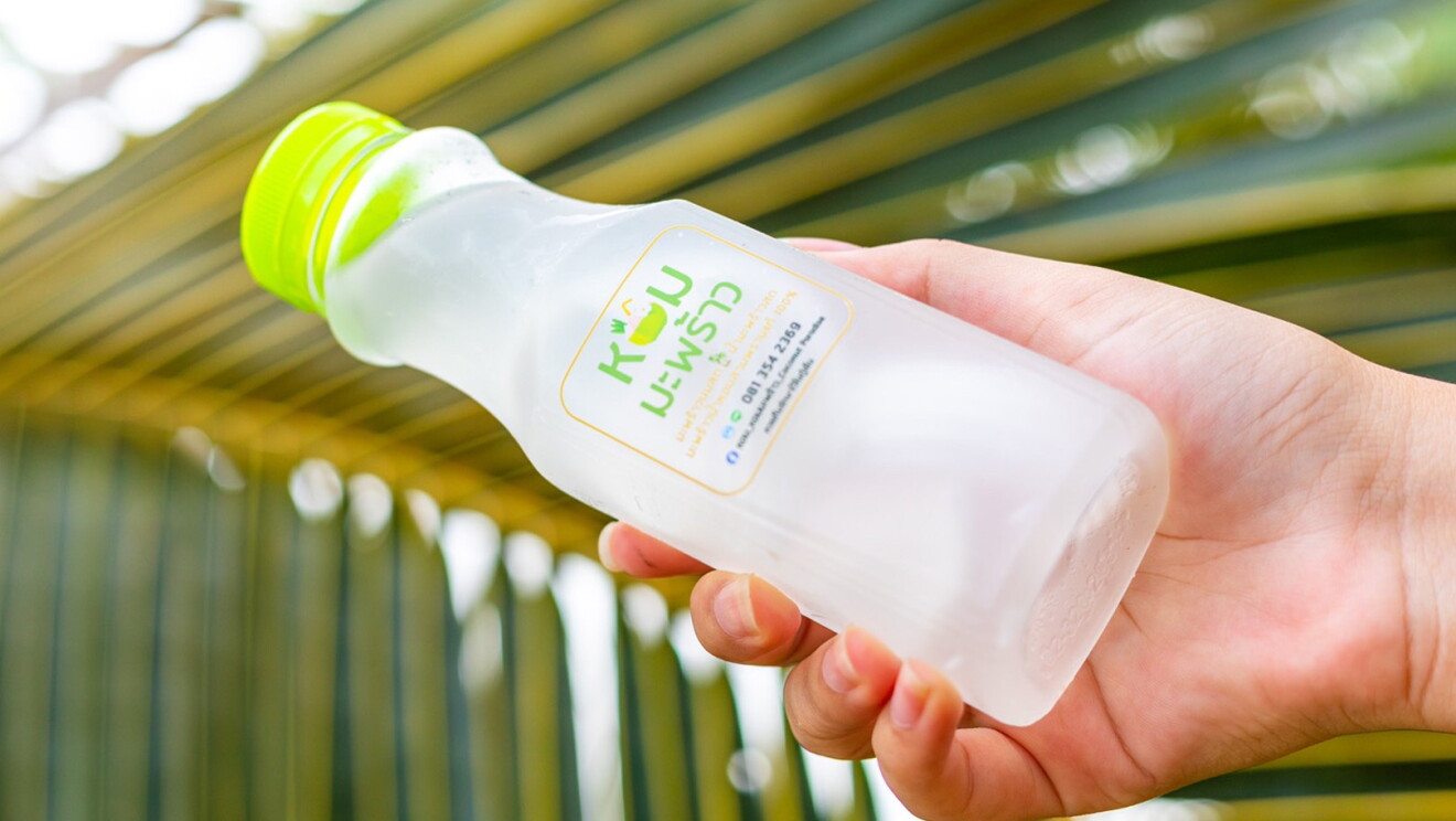 An image of a hand holding a clear botte with a green cap and a green label on it. The contents are coconut water. There is a palm leaf in the background of the image.